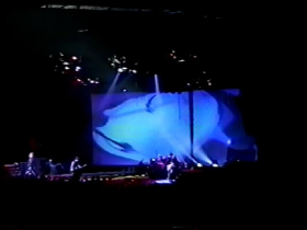 Random Video Screenshot