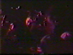 Screenshot Preview